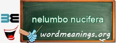 WordMeaning blackboard for nelumbo nucifera